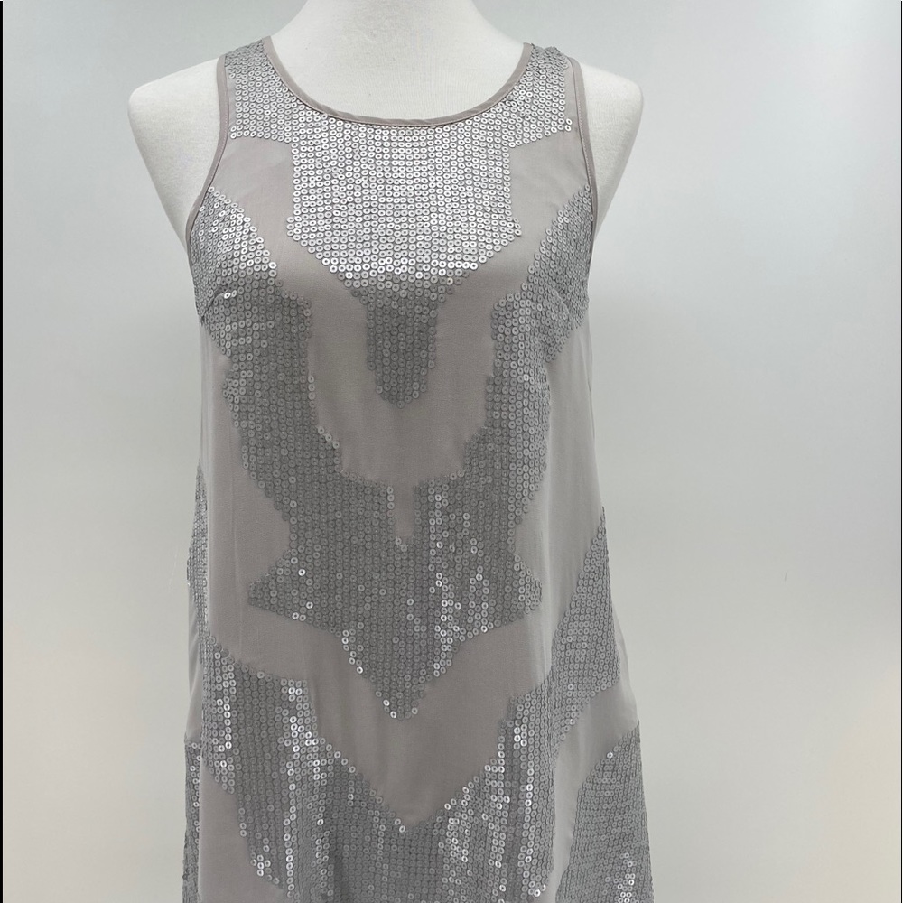 Silver Sequined Mini Dress